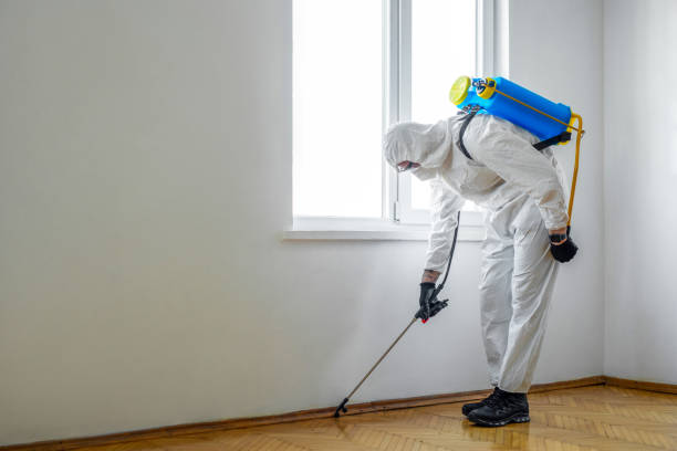 Pest Control for Restaurants in Sawyerwood, OH